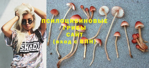 стафф Волосово