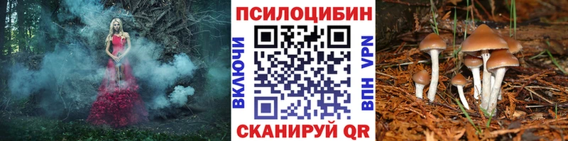 Галлюциногенные грибы ЛСД  Купить где  Александровское 